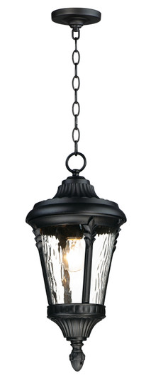 Sentry One Light Outdoor Hanging Lantern in Black (16|3058WGBK)