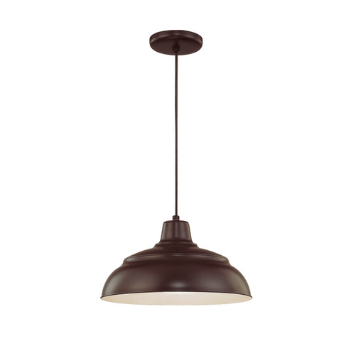 R Series One Light Pendant in Architect Bronze (59|RWHC14-ABR)