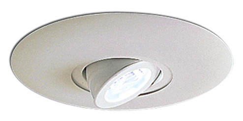 Rec Lv 6'' Trim 6'' Surface Adjustable Round Spot W/ Metal Trim in White (167|NL-665W)