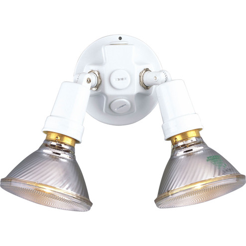 Par Lampholder Two Light Wall Lantern in White (54|P5207-30)