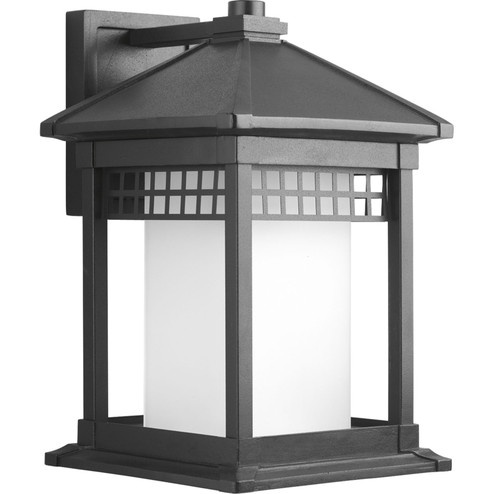 Merit One Light Wall Lantern in Black (54|P6002-31)