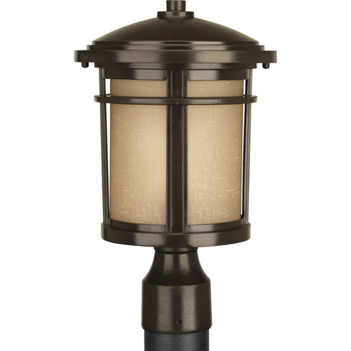 Wish One Light Post Lantern in Antique Bronze (54|P6424-20)