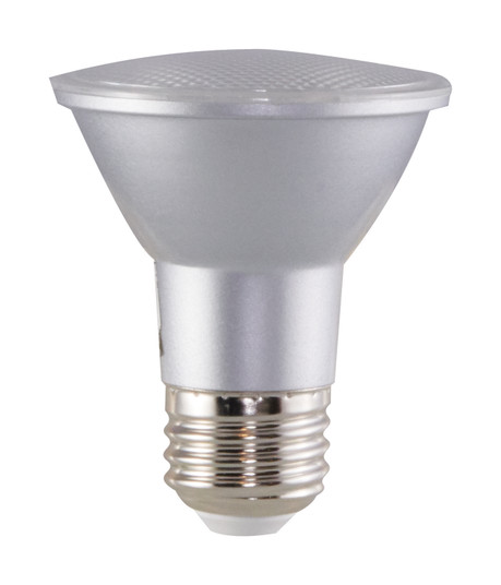 Light Bulb in Clear (230|S29402)