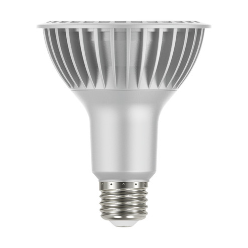 Light Bulb in Silver (230|S29764)