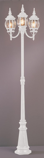 Parkway Three Light Pole Light in White (110|4090 WH)