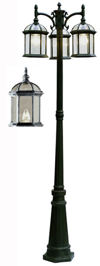 Wentworth Three Light Pole Light in Swedish Iron (110|4189 SWI)