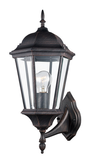 San Rafael One Light Wall Lantern in Rust (110|4250 RT)