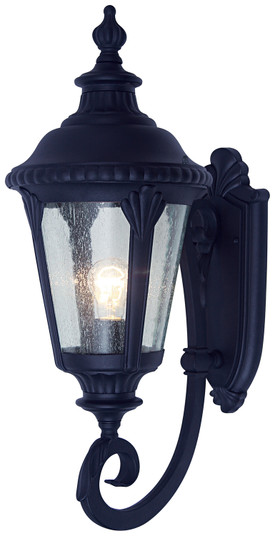 Commons One Light Wall Lantern in Black (110|5040 BK)