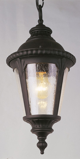 Commons One Light Hanging Lantern in Black (110|5049 BK)
