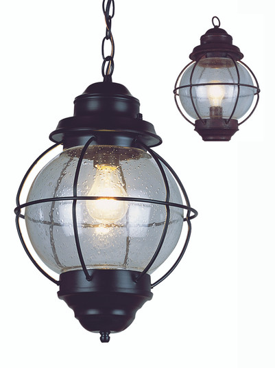 Catalina One Light Hanging Lantern in Rustic Bronze (110|69903 RBZ)