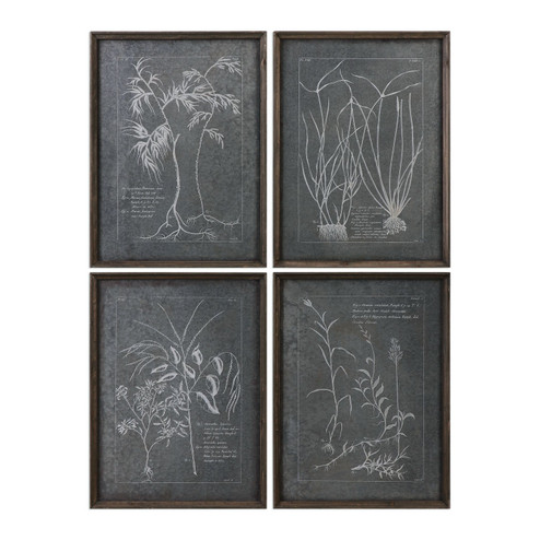 Root Study Wall Art in Natural Brown (52|32537)