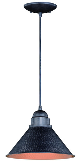 Outland One Light Outdoor Pendant in Aged Iron and Light Gold (63|T0349)