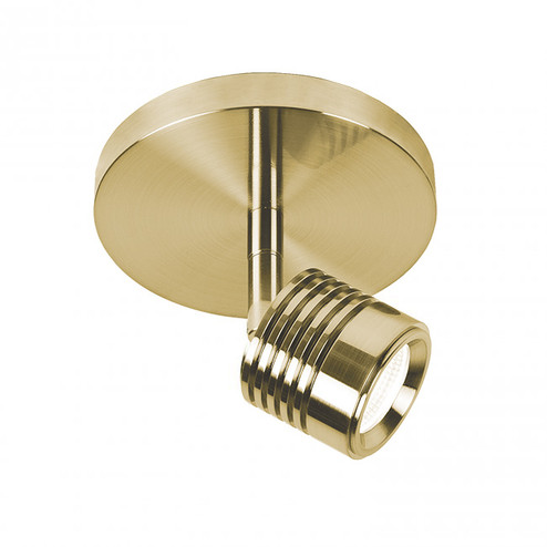 Vector LED Spot Light in Brushed Brass (34|MO-495-BR)