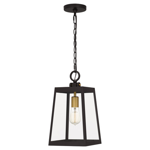 Amberly Grove One Light Outdoor Hanging Lantern in Western Bronze (10|AMBL1908WT)