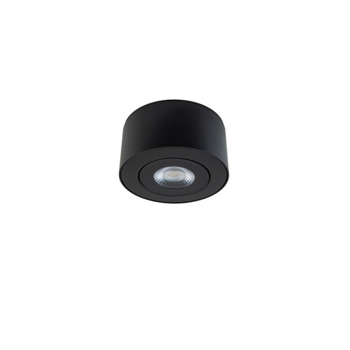 I Spy LED Outdoor Flush Mount in Black (281|FM-W44205-40-BK)