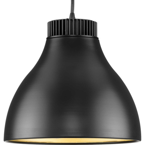 Radian Led LED Pendant in Matte Black (54|P500372-31M-30)