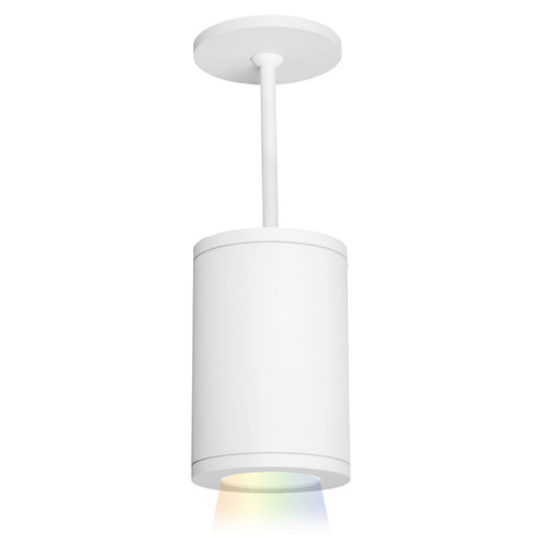 Tube Arch LED Pendant in White (34|DS-PD05-N-CC-WT)