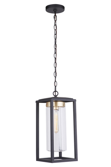 Neo One Light Outdoor Pendant in Midnight / Satin Brass (46|ZA4821-MNSB)