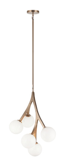 Rami Five Light Chandelier in Aged Gold Brass (423|C81505AGOP)