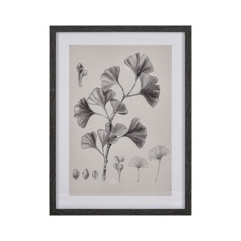 Ginkgo Botanic Framed Wall Art in Ivory (45|S0056-10637)