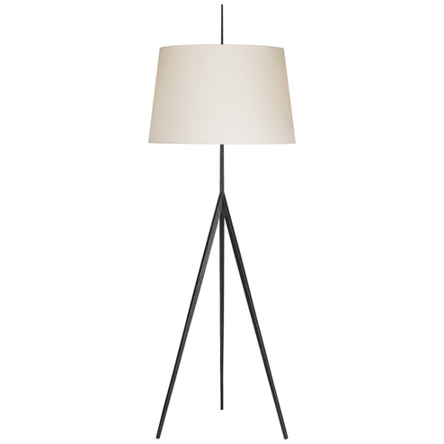 Triad One Light Floor Lamp in Aged Iron (268|S 1641AI-L)