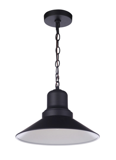 Singleton One Light Outdoor Pendant in Midnight (46|ZA5411-MN)