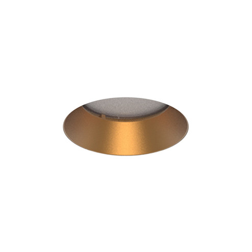 Aether Atomic Downlight Trimless in Gold (34|R1ARDL-GL)
