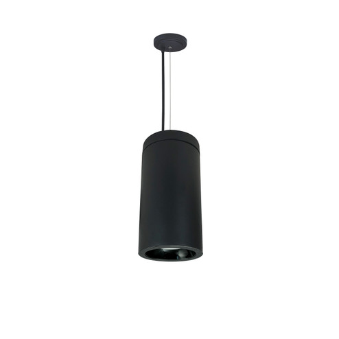 Cylinder Pendant in Black (167|NYLD2-6C10140BBBAC)