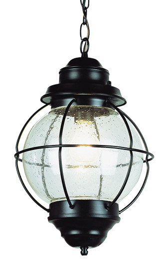 Catalina One Light Hanging Lantern in Black (110|69906 BK)