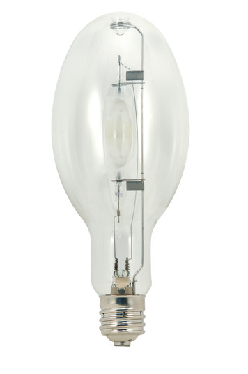 Light Bulb in Clear (230|S5838)