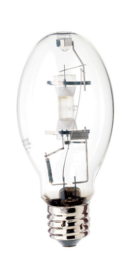 Light Bulb in Clear (230|S4275)