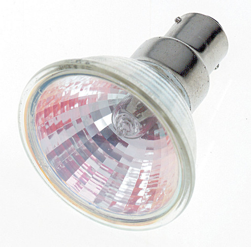 Light Bulb in None (230|S1973)