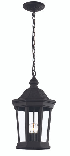Westfield Three Light Hanging Lantern in Black (110|40406 BK)