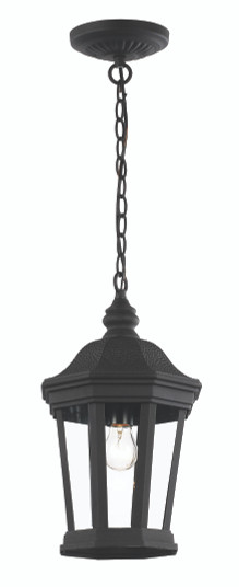Westfield One Light Hanging Lantern in Black (110|40405 BK)