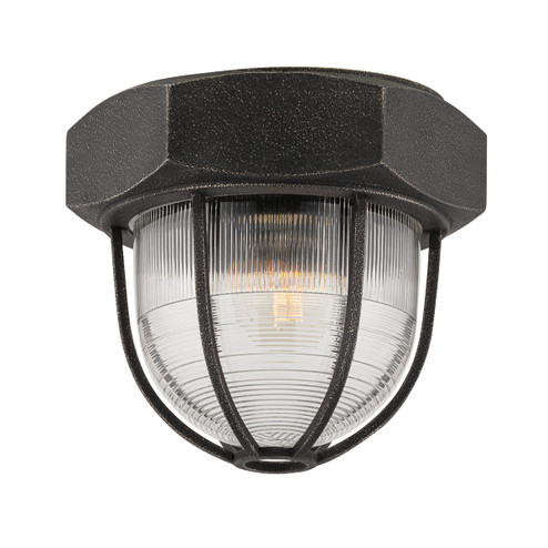 Acme One Light Flush Mount in Aged Pewter (67|C3891-APW)