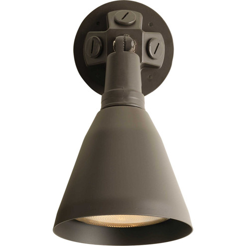 Par Lampholder One Light Wall Lantern in Antique Bronze (54|P5202-20)