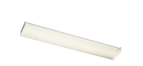 Two Light Linear Ceiling Mount in White (12|10315WH)