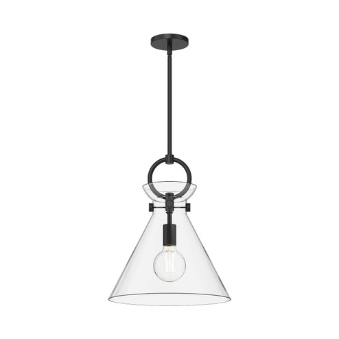 Emerson One Light Pendant in Matte Black/Clear Glass (452|PD412514MBCL)
