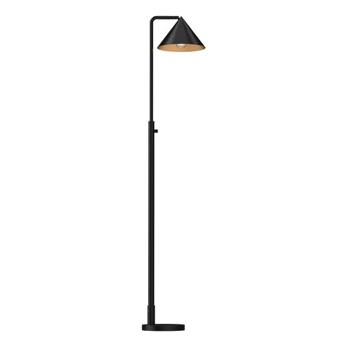 Remy One Light Floor Lamp in Matte Black (452|FL485058MB)