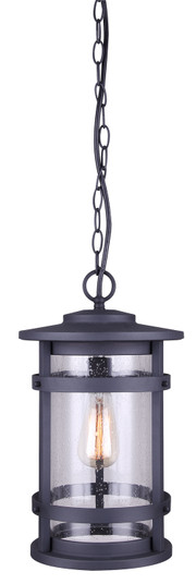 Duffy One Light Outdoor Lantern in Metal (387|IOL343BK)