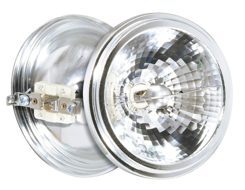 Light Bulb in Clear (230|S4690)