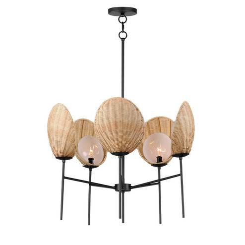 Maldives Five Light Chandelier in Black (16|12605NABK)