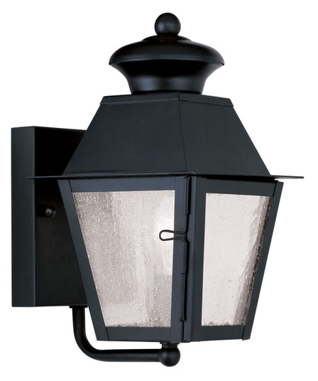Mansfield One Light Outdoor Wall Lantern in Black (107|2160-04)