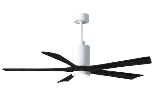 Patricia 60''Ceiling Fan in White (101|PA5-WH-BK-60)