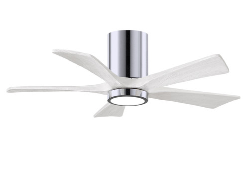 Irene-5HLK 42'' Ceiling Fan in Polished Chrome (101|IR5HLK-CR-MWH-42)