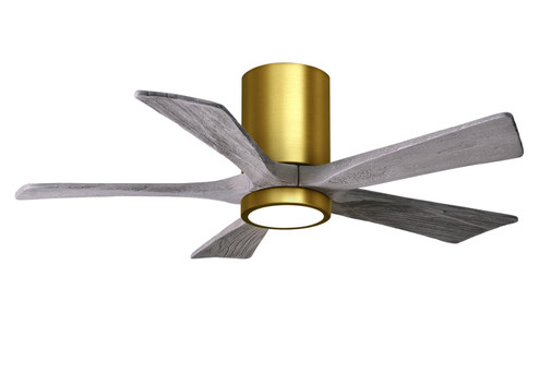 Irene-5HLK 42''Ceiling Fan in Brushed Brass (101|IR5HLK-BRBR-BW-42)