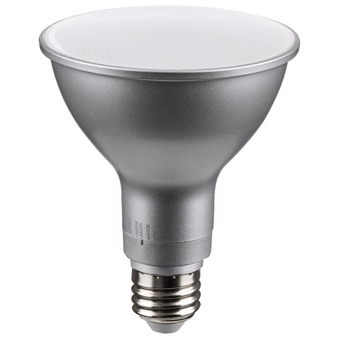 Light Bulb in Silver (230|S11587)