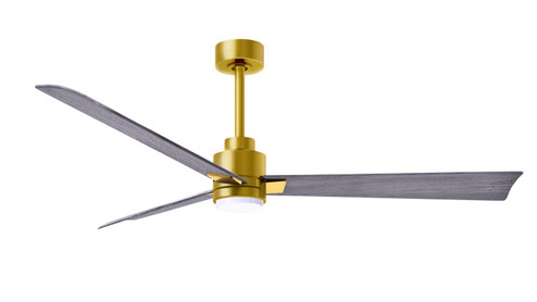 Alessandra 56''Ceiling Fan in Brushed Brass (101|AKLK-BRBR-BW-56)