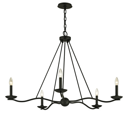 Sawyer Five Light Chandelier in Forged Iron (67|F6305-FOR)