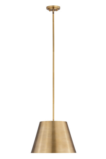 Lilly One Light Pendant in Rubbed Brass (224|2307-18RB)